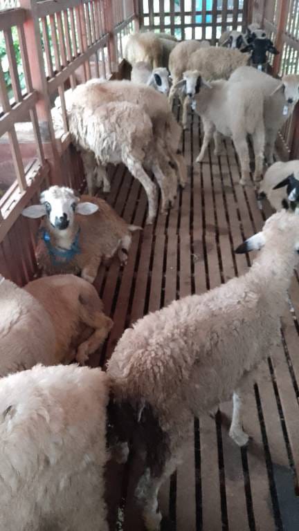 WhatsApp Image 2025-08-07 at 19.16.06 (1)