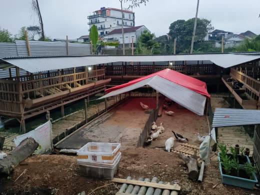 WhatsApp Image 2025-08-07 at 19.16.07