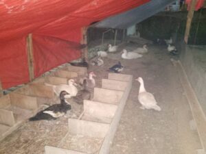 WhatsApp Image 2025-08-07 at 19.16.08 (1)