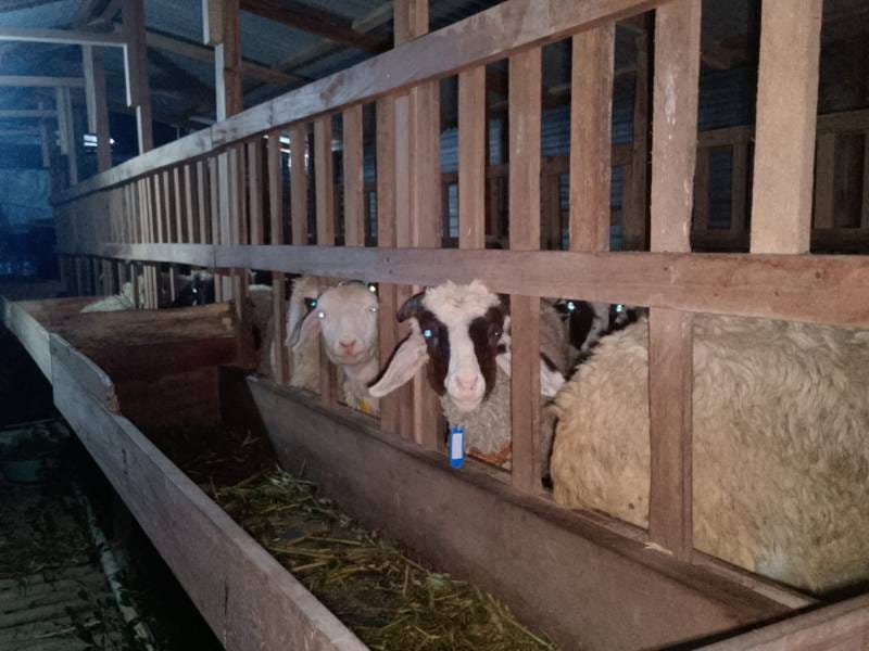 WhatsApp Image 2025-08-07 at 19.16.09