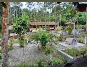 WhatsApp Image 2025-08-11 at 06.02.35