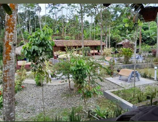 WhatsApp Image 2025-08-11 at 06.02.35