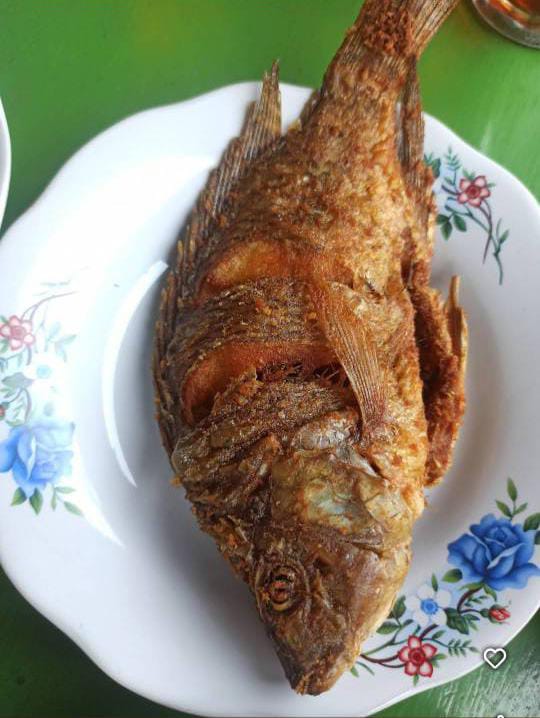 WhatsApp Image 2025-08-11 at 06.02.36