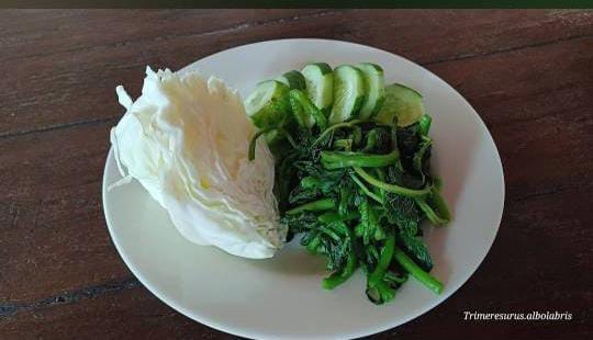 WhatsApp Image 2025-08-11 at 06.02.37 (2)