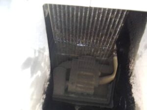 WhatsApp Image 2025-08-11 at 21.32.43