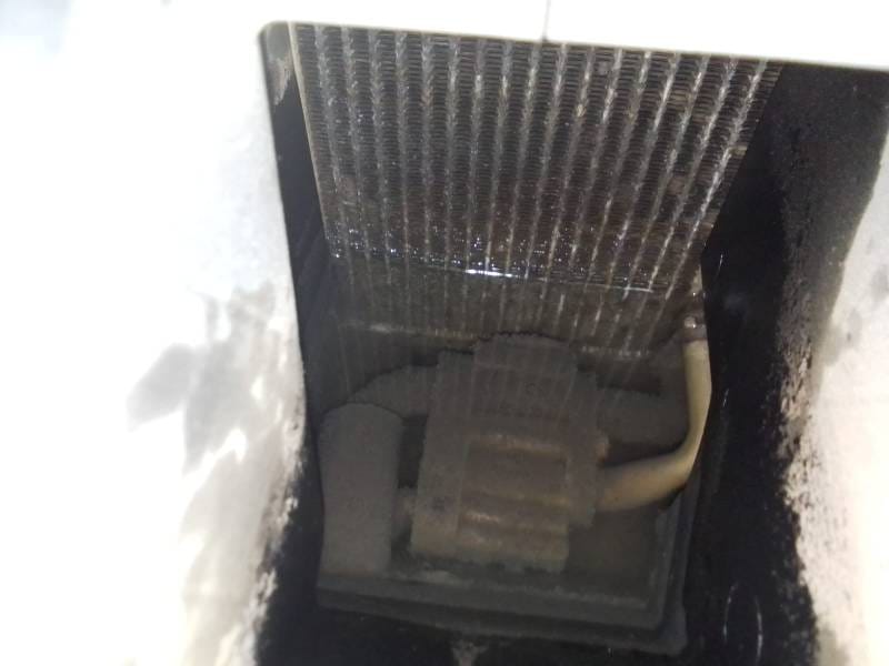 WhatsApp Image 2025-08-11 at 21.32.43