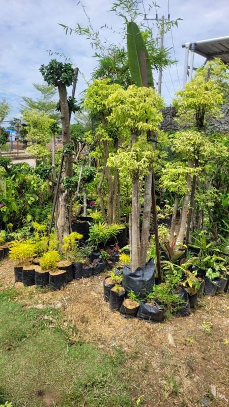 WhatsApp Image 2025-08-20 at 20.27.05 (2)