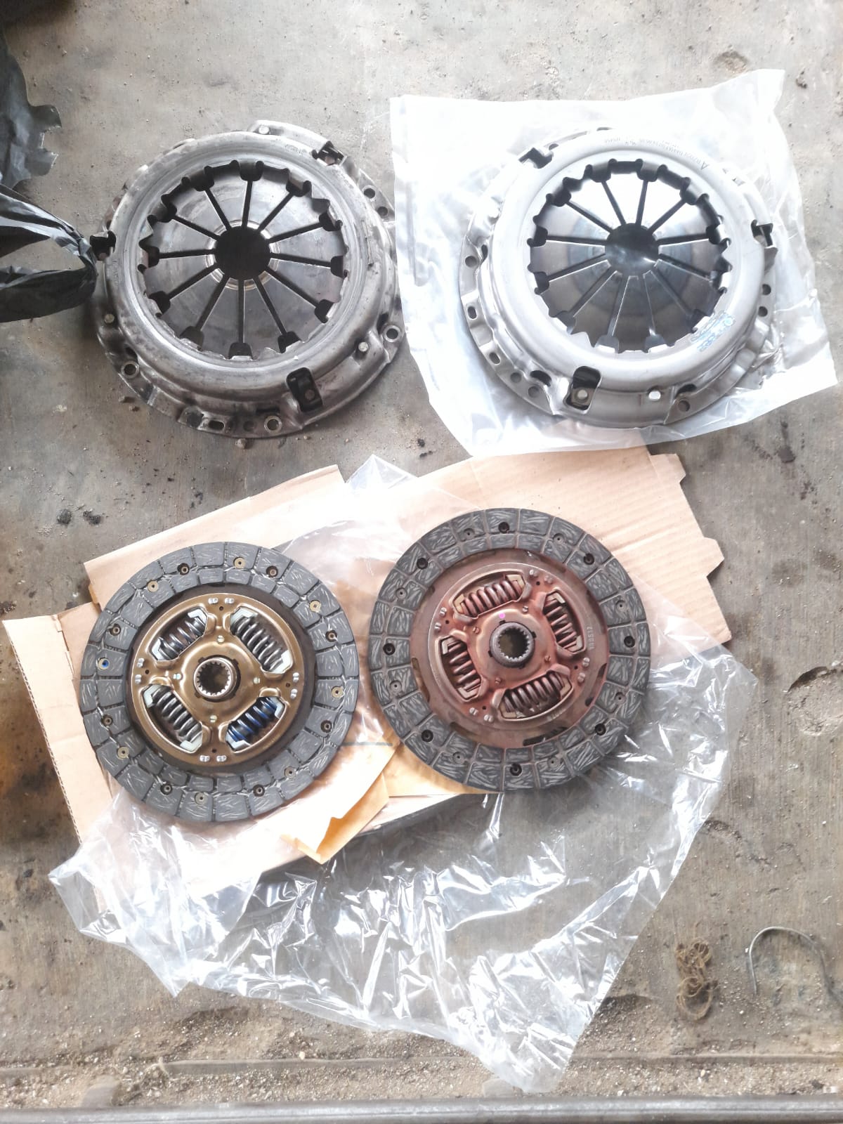 WhatsApp Image 2025-08-31 at 06.10.29 (1)