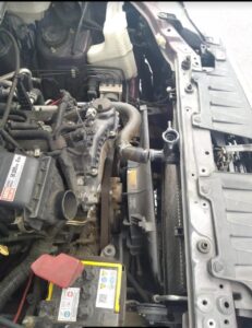 WhatsApp Image 2025-09-11 at 17.58.58