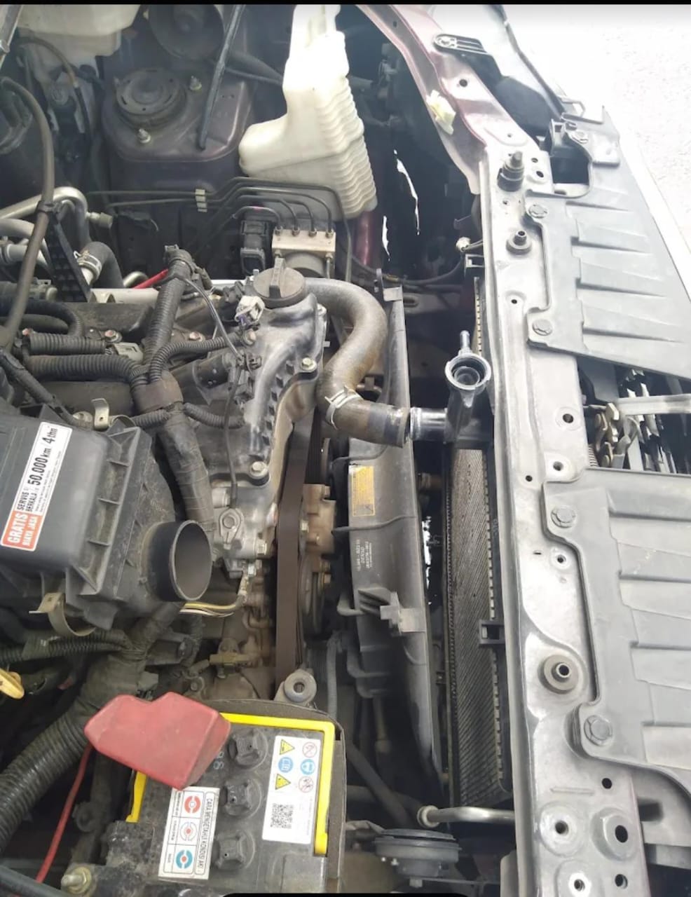 WhatsApp Image 2025-09-11 at 17.58.58