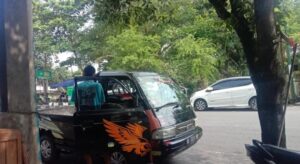 WhatsApp Image 2025-09-11 at 17.59.00 (1)