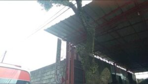 WhatsApp Image 2025-09-28 at 08.05.42 (1)