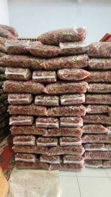 WhatsApp Image 2025-11-02 at 07.39.05