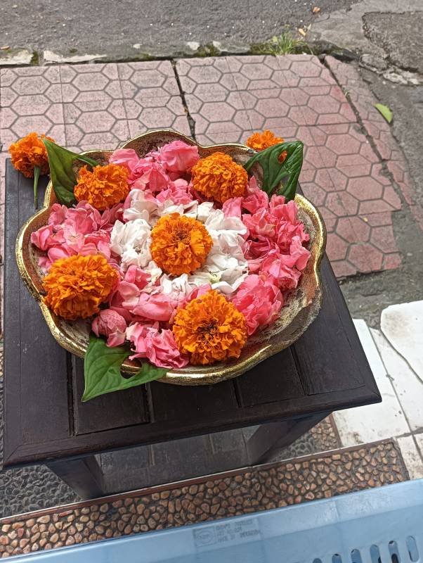 WhatsApp Image 2026-04-11 at 22.17.14 (2)