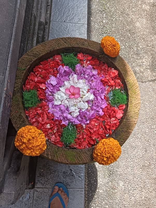 WhatsApp Image 2026-04-11 at 22.17.14 - Copy