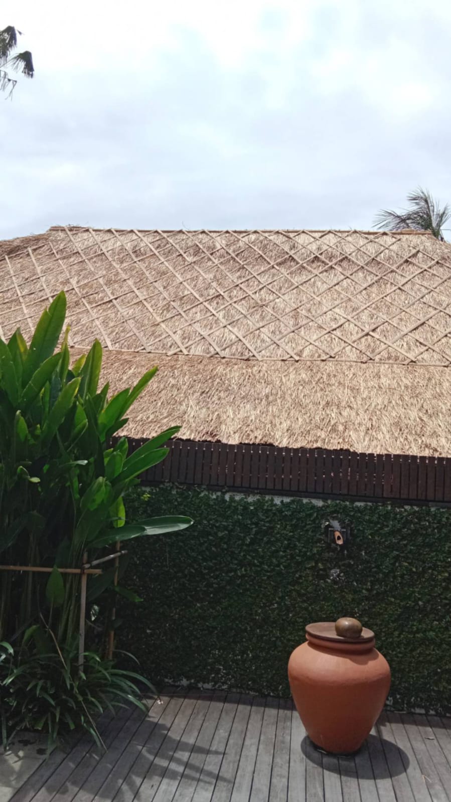 WhatsApp Image 2026-04-14 at 20.46.07 (1)