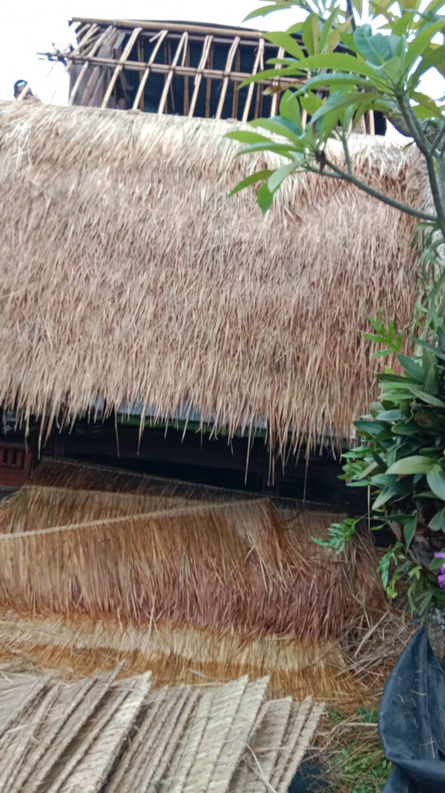 WhatsApp Image 2026-04-14 at 20.46.08 (1)