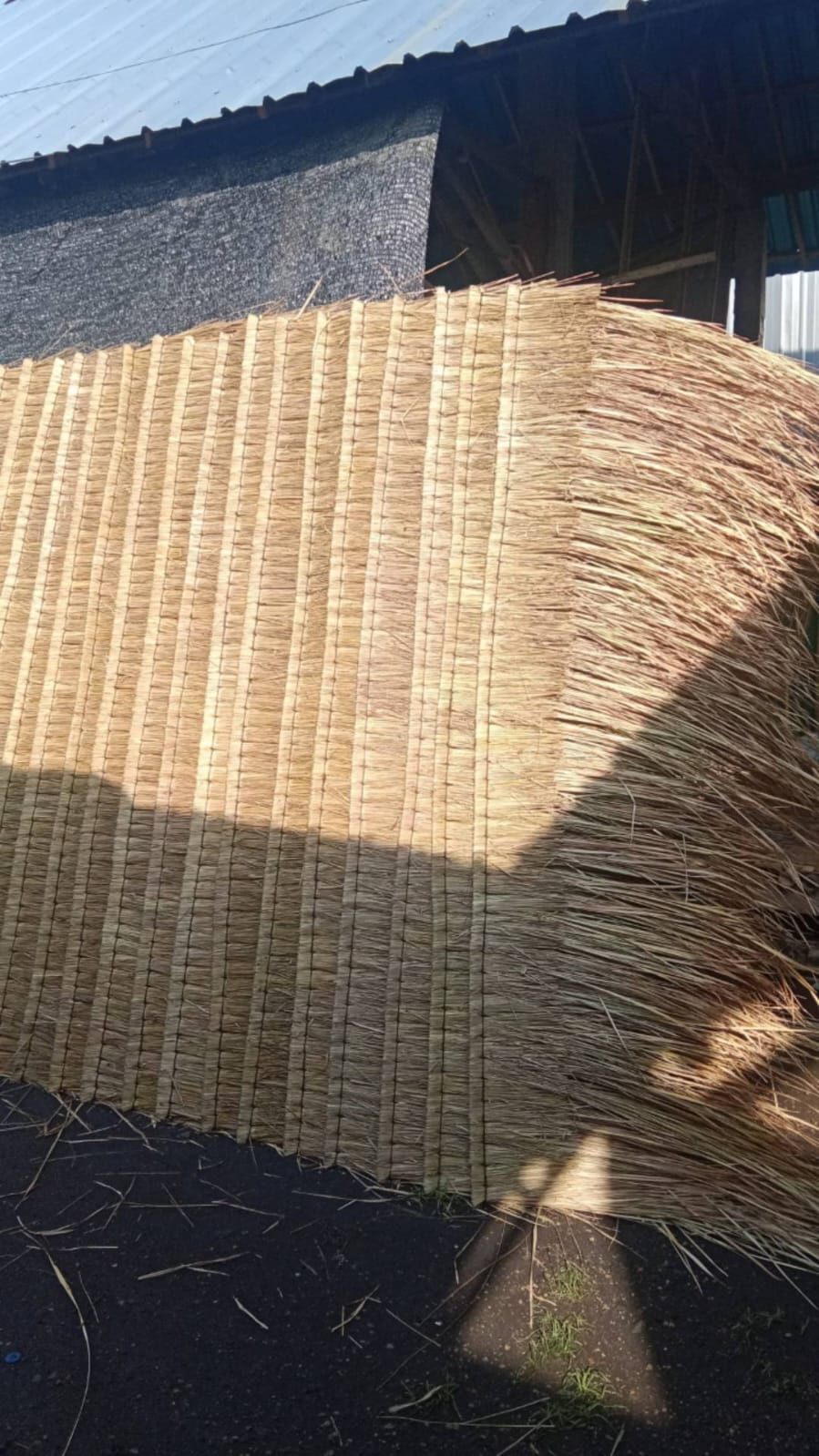 WhatsApp Image 2026-04-14 at 20.46.08