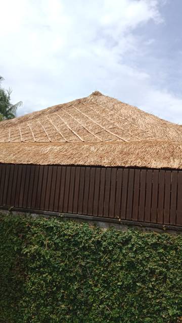 WhatsApp Image 2026-04-14 at 20.46.44 (1)