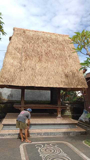 WhatsApp Image 2026-04-14 at 20.46.44