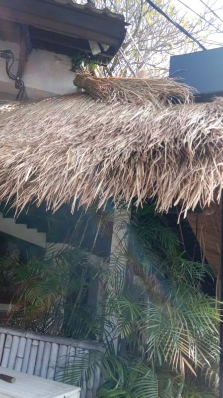 WhatsApp Image 2026-04-14 at 20.46.45