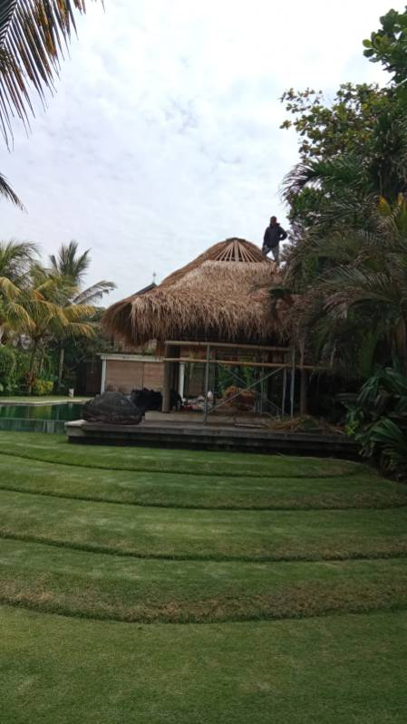 WhatsApp Image 2026-04-14 at 20.46.47