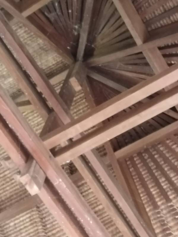 WhatsApp Image 2026-04-14 at 20.46.48 (2)