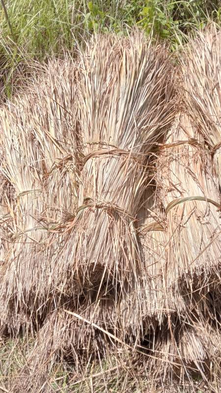 WhatsApp Image 2026-04-14 at 20.46.48