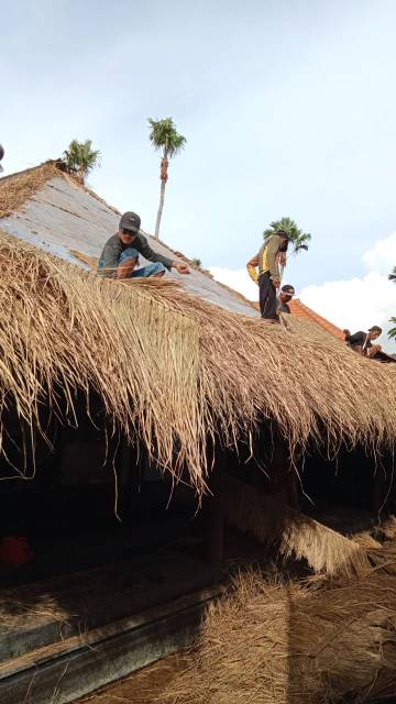 WhatsApp Image 2026-04-14 at 20.46.49