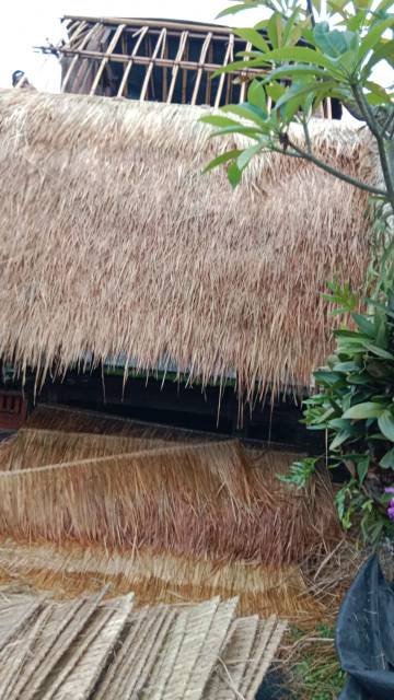 WhatsApp Image 2026-04-14 at 20.46.50