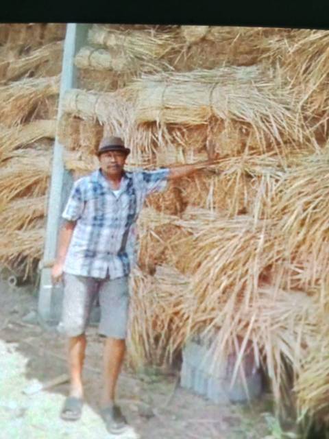 WhatsApp Image 2026-04-14 at 20.46.51 (1)