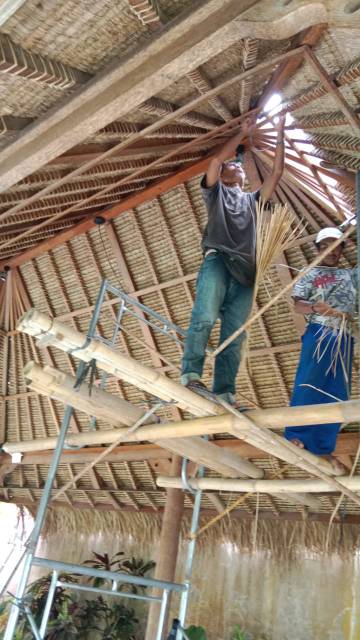 WhatsApp Image 2026-04-14 at 20.46.51