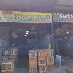 WhatsApp Image 2026-04-16 at 19.01.22 (3)