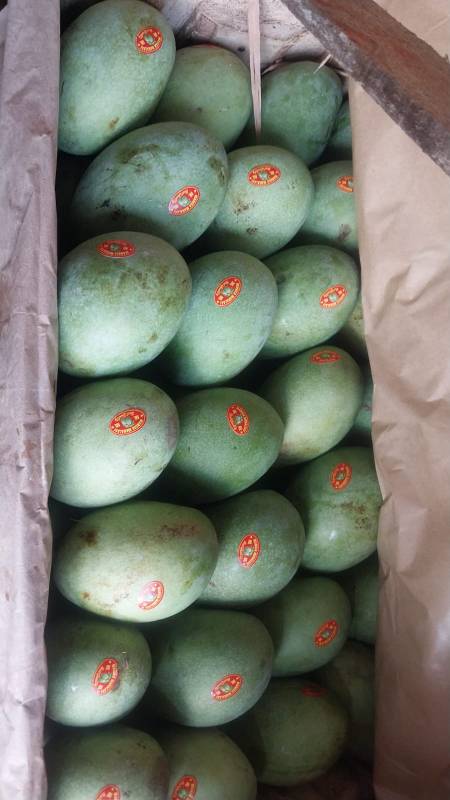 WhatsApp Image 2026-04-16 at 19.01.22 (5)