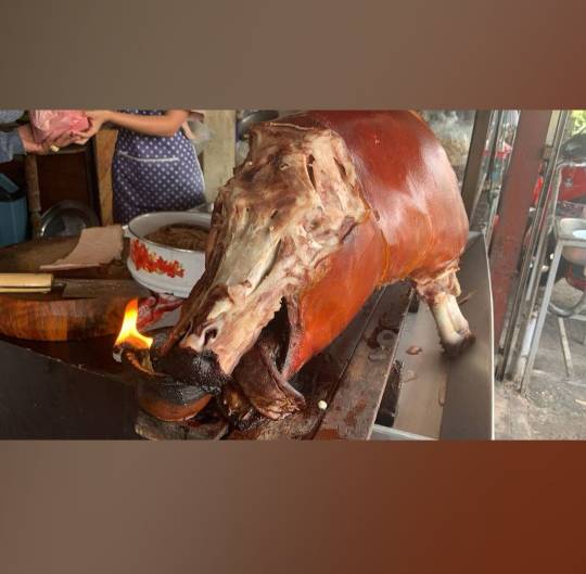 WhatsApp Image 2026-04-17 at 06.18.30