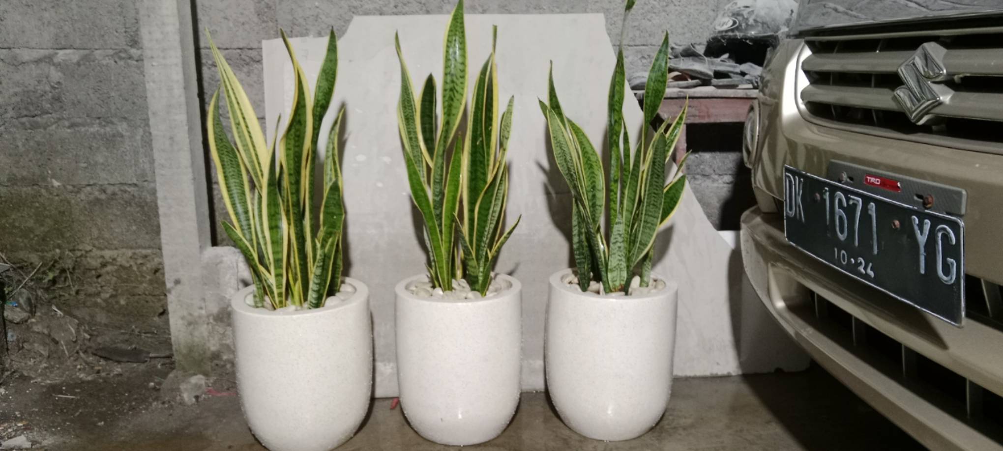 WhatsApp Image 2026-04-22 at 17.00.51 (1)