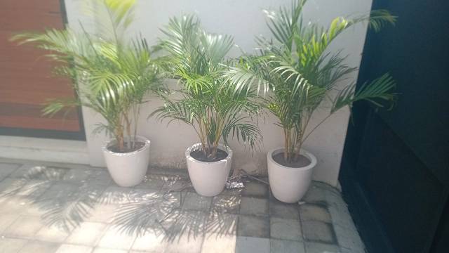 WhatsApp Image 2026-04-22 at 17.00.51