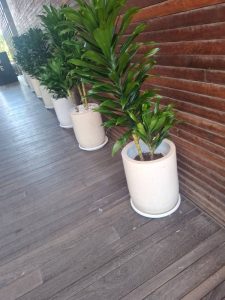 WhatsApp Image 2026-04-22 at 17.00.52 (1)