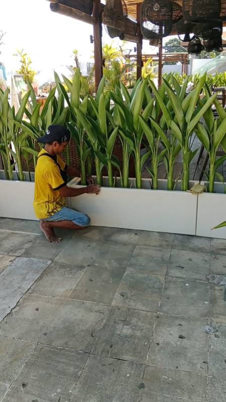 WhatsApp Image 2026-04-22 at 17.00.53 (1)