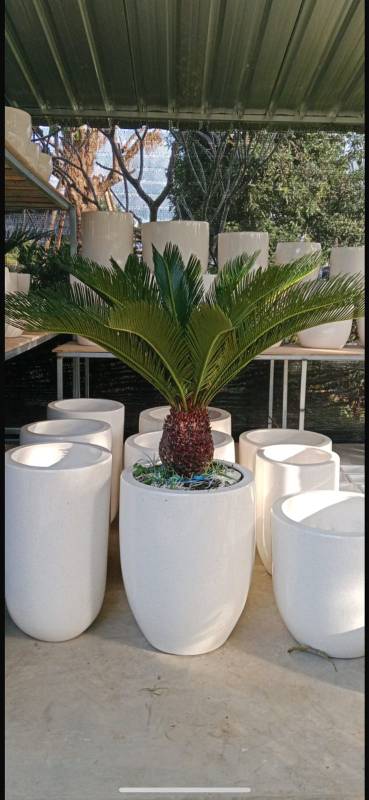 WhatsApp Image 2026-04-22 at 17.00.54 (2)