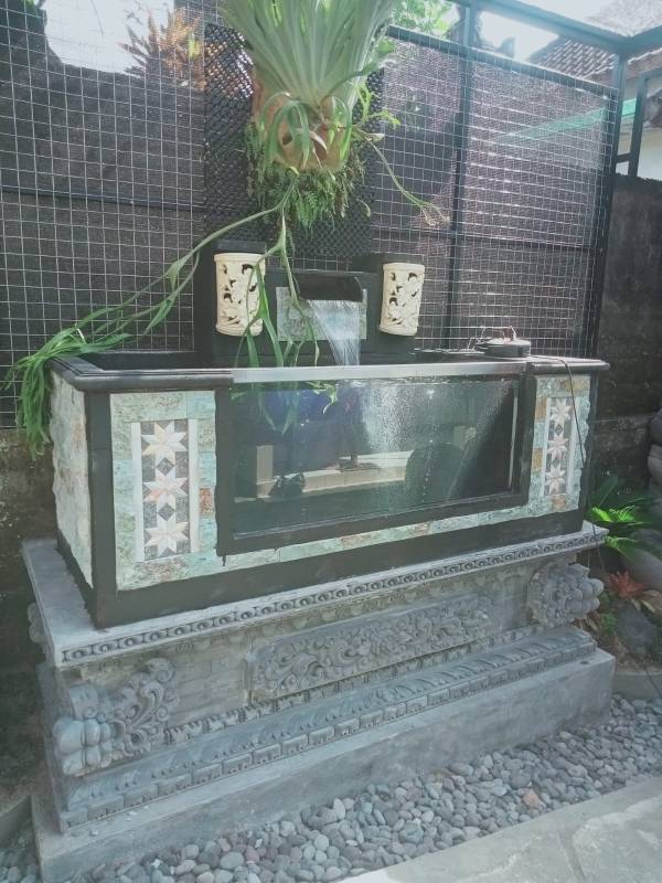 WhatsApp Image 2026-04-25 at 08.34.03