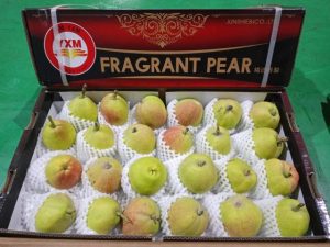 WhatsApp Image 2026-04-26 at 12.20.40 (1)