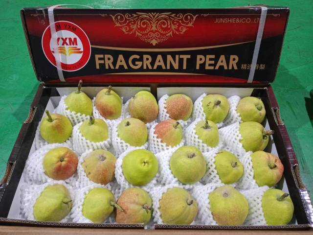 WhatsApp Image 2026-04-26 at 12.20.40 (1)