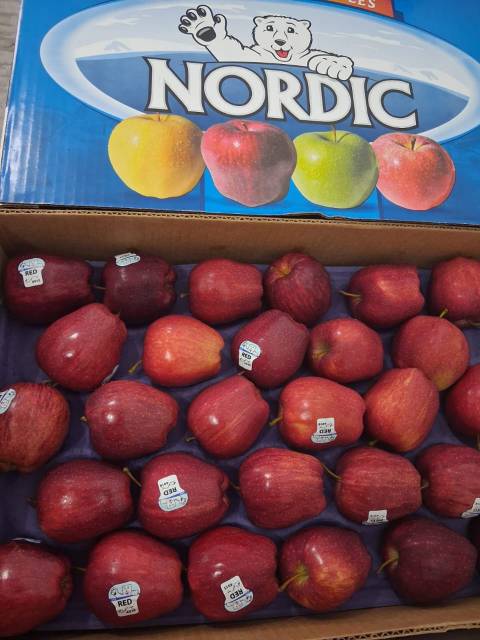 WhatsApp Image 2026-04-26 at 12.20.40 (2)