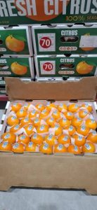 WhatsApp Image 2026-04-26 at 12.20.40 (3)