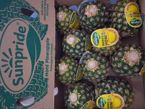 WhatsApp Image 2026-04-26 at 12.20.41 (2)