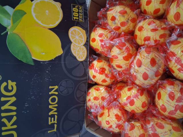 WhatsApp Image 2026-04-26 at 12.20.41 (3)