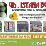 Distributor Buah Di Denpasar Bali Ud Istana Buah