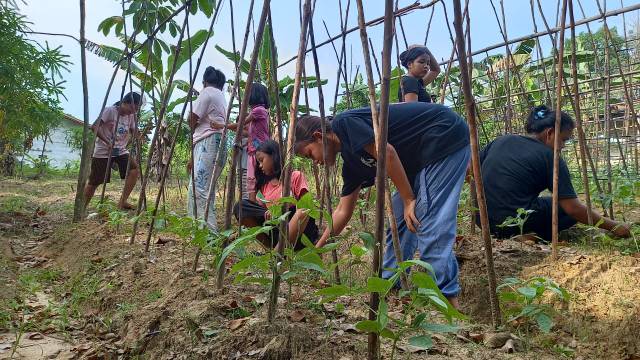 WhatsApp Image 2026-06-19 at 11.19.07