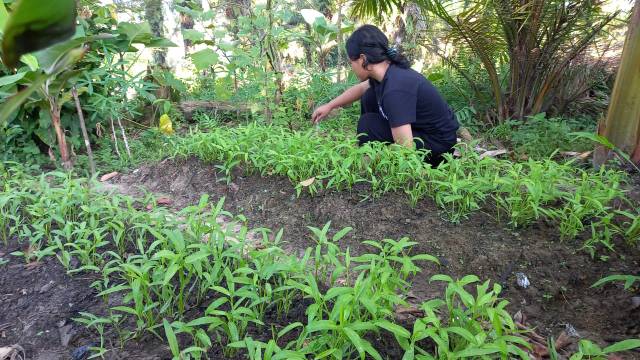 WhatsApp Image 2026-06-19 at 11.19.09 (1)